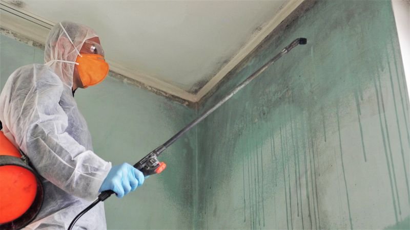 Air Duct Mold Removal in Fort Lauderdale, FL