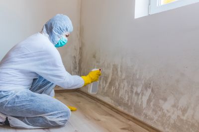 Basement Mold Removal in Frisco, TX