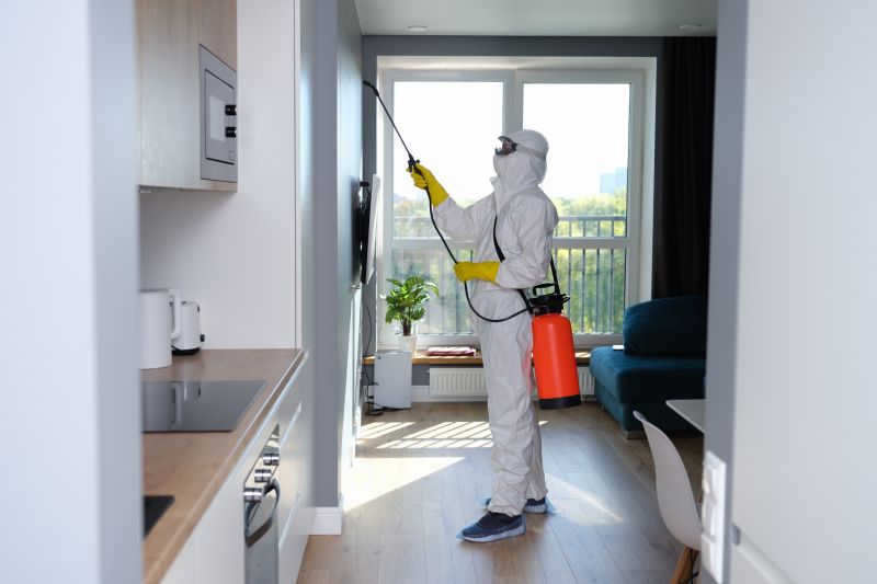 Basement Mold Removal in Essex County, NJ