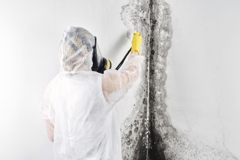 Basement Mold Removal in Fort Worth, TX
