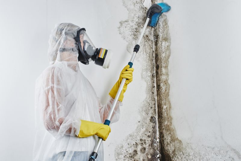 Crawl Space Mold Removal in Jupiter, FL