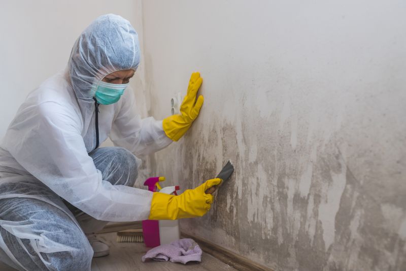 Garage Mold Remediation in Fort Worth, TX