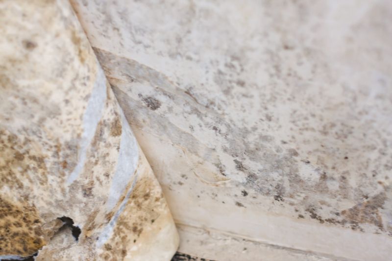 Mold Abatement Service in West Palm Beach, FL