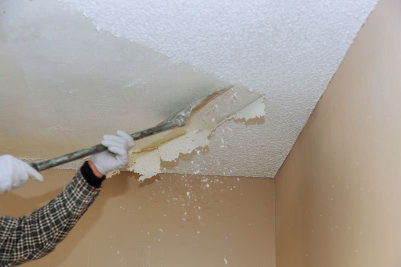 Vermiculite Removal Service in Bergen County, NJ