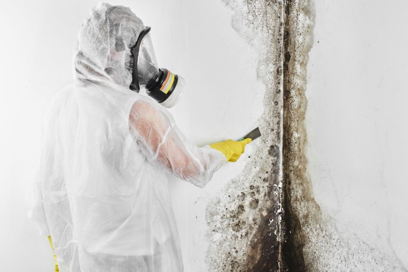 Black Mold Remediation in Bergen County, NJ