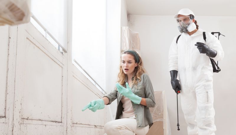 Garage Mold Remediation in Essex County, NJ