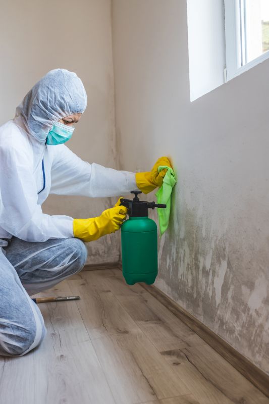 Mold Removal in Boca Raton, FL