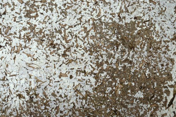 Linoleum Asbestos Removal